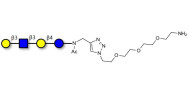 Lacto-N-tetraose (LNT) with free terminal amine (Linker-NH2 B)