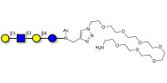 Lacto-N-tetraose (LNT) with free terminal amine (Linker-NH2 C)