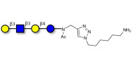 Lacto-N-tetraose (LNT) with free terminal amine (Linker-NH2 D)