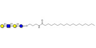 Lacto-N-tetraose (LNT) with stearic chain (Linker-STEA A)