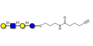 Lacto-N-tetraose (LNT) with terminal alkyne (Linker-CΞCH C)
