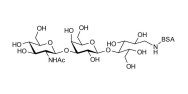Lacto-N-Triose (LNT2) grafted on BSA