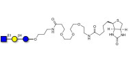 Lacto-N-Triose (LNT2) linked to biotin (Linker-BT C)