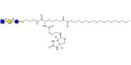 Lacto-N-Triose (LNT2) linked to biotin and stearic chain (Linker-BT-STEA A)