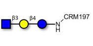 Lacto-N-Triose (LNT2) grafted on CRM197