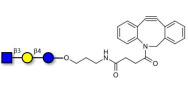 Lacto-N-Triose (LNT2) with DBCO (Linker-DBCO A)