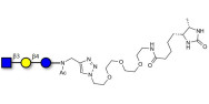 Lacto-N-Triose (LNT2) linked to desthiobiotin (Linker-DBT-A)
