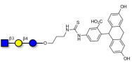 Lacto-N-Triose (LNT2) linked to fluorescein (Linker-FLUO A)