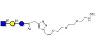 Lacto-N-Triose (LNT2) grafted on gel for affinity chromatography (Linker-GEL A)