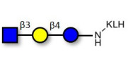 Lacto-N-Triose (LNT2) grafted on KLH