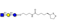 Lacto-N-Triose (LNT2) with cyclic di-thiol (Linker-LIPO A)