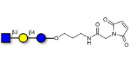 Lacto-N-Triose (LNT2) linked to maleimide (Linker-MAL A)