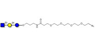 Lacto-N-Triose (LNT2) with terminal azide (Linker-N3 A)