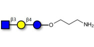 Lacto-N-Triose (LNT2) with free terminal amine (Linker-NH2 A)