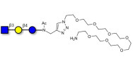 Lacto-N-Triose (LNT2) with free terminal amine (Linker-NH2 C)