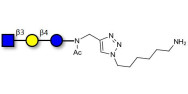 Lacto-N-Triose (LNT2) with free terminal amine (Linker-NH2 D)