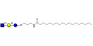 Lacto-N-Triose (LNT2) with stearic chain (Linker-STEA A)