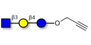 Lacto-N-Triose (LNT2) with terminal alkyne (Linker-CΞCH B)