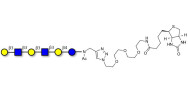 Para-Lacto-N-hexaose analogue (Para-LNH analogue) linked to biotin (Linker-BT A)