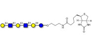 Para-Lacto-N-hexaose analogue (Para-LNH analogue) linked to biotin (Linker-BT B)