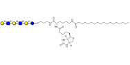 Para-Lacto-N-hexaose analogue (Para-LNH analogue) linked to biotin and stearic chain (Linker-BT-STEA A)