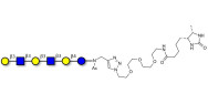 Para-Lacto-N-hexaose analogue (Para-LNH analogue) linked to desthiobiotin (Linker-DBT-A)