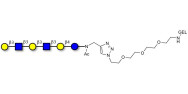 Para-Lacto-N-hexaose analogue (Para-LNH analogue) grafted on gel for affinity chromatography (Linker-GEL A)
