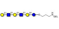 Para-Lacto-N-hexaose analogue (Para-LNH analogue) grafted on gel for affinity chromatography (Linker-GEL B)