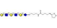 Para-Lacto-N-hexaose analogue (Para-LNH analogue) with cyclic di-thiol (Linker-LIPO A)