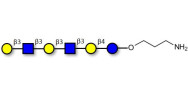 Para-Lacto-N-hexaose analogue (Para-LNH analogue) with free terminal amine (Linker-NH2 A)