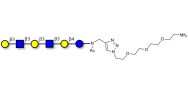 Para-Lacto-N-hexaose analogue (Para-LNH analogue) with free terminal amine (Linker-NH2 B)