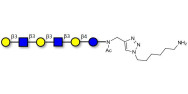 Para-Lacto-N-hexaose analogue (Para-LNH analogue) with free terminal amine (Linker-NH2 D)