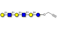 Para-Lacto-N-hexaose analogue (Para-LNH analogue) with terminal alkyne (Linker-CΞCH B)