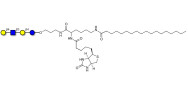 Lacto-N-neotetraose (LNnT / neo-LNT) linked to biotin and stearic chain (Linker-BT-STEA A)