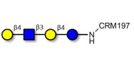 Lacto-N-neotetraose (LNnT / neo-LNT) grafted on CRM197