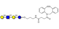 Lacto-N-neotetraose (LNnT / neo-LNT) with DBCO (Linker-DBCO A)