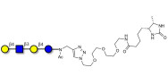 Lacto-N-neotetraose (LNnT / neo-LNT) linked to desthiobiotin (Linker-DBT-A)