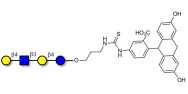 Lacto-N-neotetraose (LNnT / neo-LNT) linked to fluorescein (Linker-FLUO A)