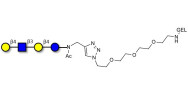 Lacto-N-neotetraose (LNnT / neo-LNT) grafted on gel for affinity chromatography (Linker-GEL A)