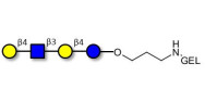 Lacto-N-neotetraose (LNnT / neo-LNT) grafted on gel for affinity chromatography (Linker-GEL B)