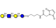 Lacto-N-neotetraose (LNnT / neo-LNT) linked to maleimide (Linker-MAL A)
