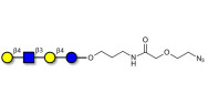 Lacto-N-neotetraose (LNnT / neo-LNT) with terminal azide (Linker-N3 B)