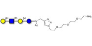 Lacto-N-neotetraose (LNnT / neo-LNT) with free terminal amine (Linker-NH2 B)