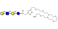 Lacto-N-neotetraose (LNnT / neo-LNT) with free terminal amine (Linker-NH2 C)
