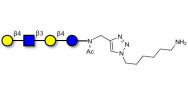Lacto-N-neotetraose (LNnT / neo-LNT) with free terminal amine (Linker-NH2 D)