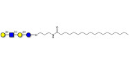 Lacto-N-neotetraose (LNnT / neo-LNT) with stearic chain (Linker-STEA A)