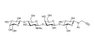 Lacto-N-neotetraose (LNnT / neo-LNT) with terminal alkyne (Linker-CΞCH A)