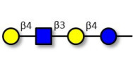 Lacto-N-neotetraose (LNnT / neo-LNT) with terminal alkyne (Linker-CΞCH B)