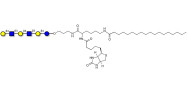 Para-Lacto-N-neohexaose (Para-LNnH) linked to biotin and stearic chain (Linker-BT-STEA A)