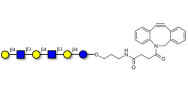 Para-Lacto-N-neohexaose (Para-LNnH) with DBCO (Linker-DBCO A)